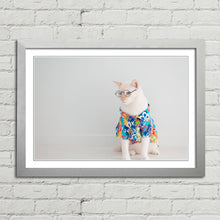 Load image into Gallery viewer, Cat in Shirt Glasses Holiday Funny Cute
