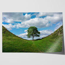 Load image into Gallery viewer, Sycamore Gap at Hadrian&#39;s Wall
