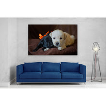 Load image into Gallery viewer, Cute Labrador Puppies Close Up
