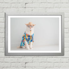 Load image into Gallery viewer, Cat on Holiday in Shirt Hat Funny Cute
