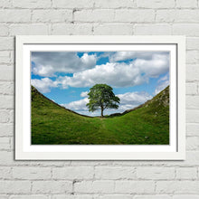 Load image into Gallery viewer, Sycamore Gap at Hadrian&#39;s Wall
