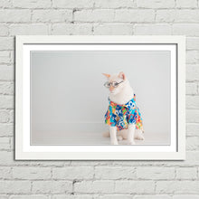 Load image into Gallery viewer, Cat in Shirt Glasses Holiday Funny Cute
