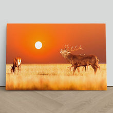 Load image into Gallery viewer, Red Deer Stag at Sunset
