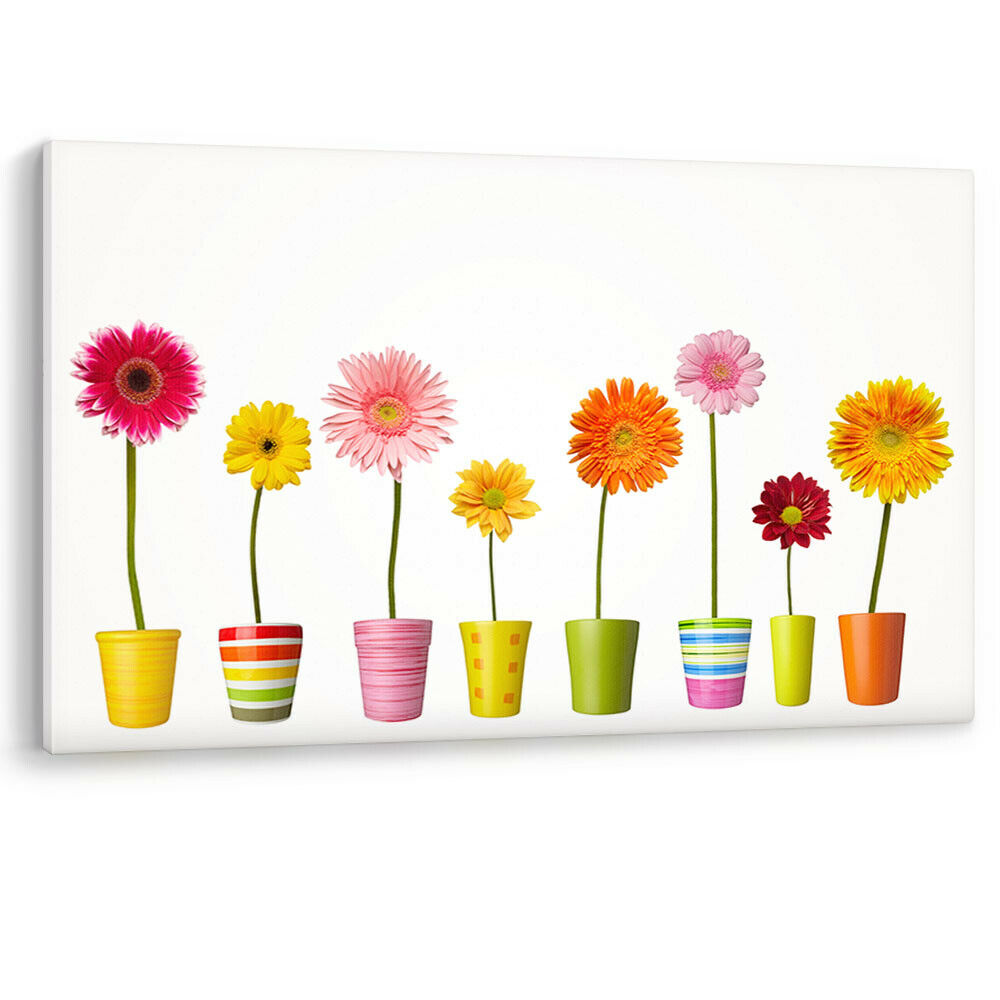 Flower Pots Colours Daisy Bathroom Bed Large Canvas Wall Art Picture Print Color