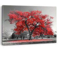 Load image into Gallery viewer, Large Tree Red Leaves New York Nature Canvas Wall Art Picture Print Black White
