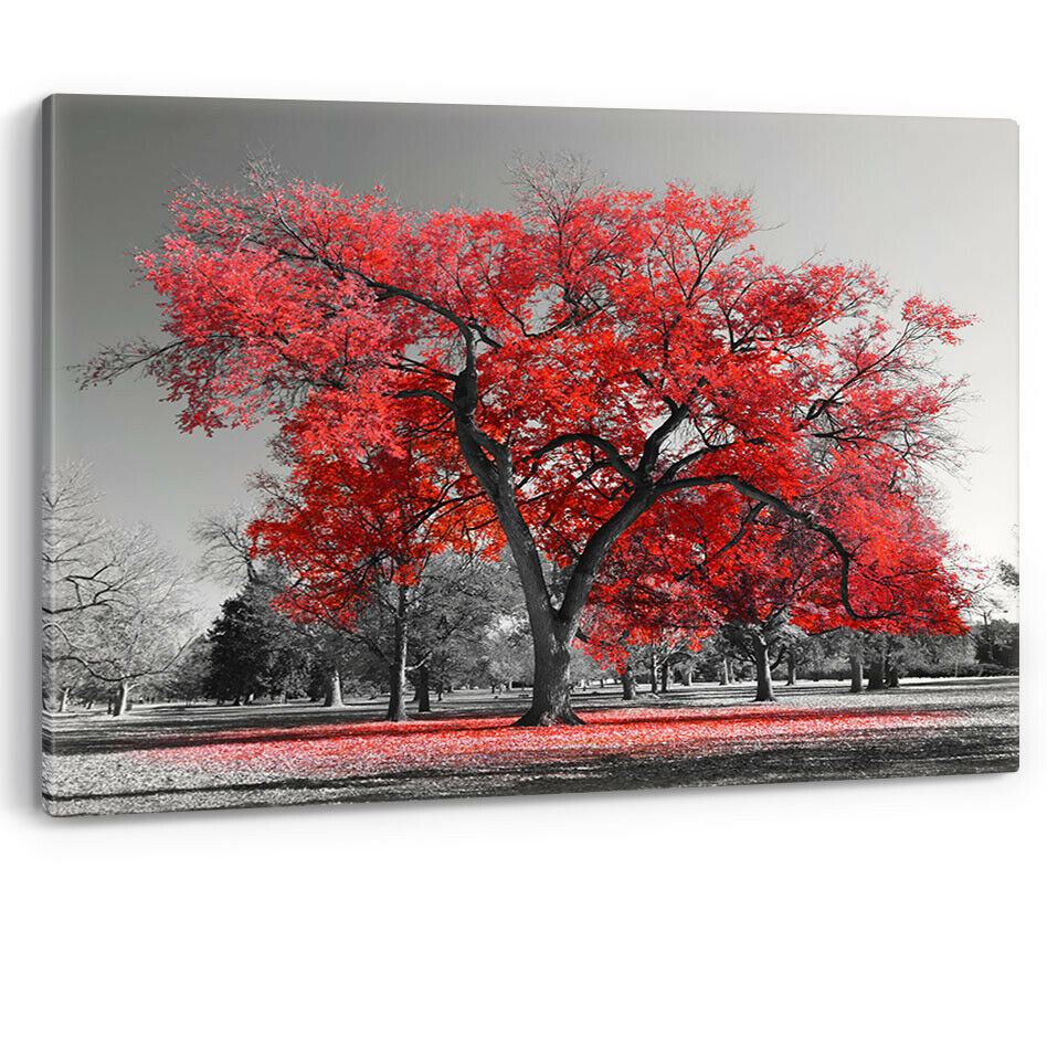 Large Tree Red Leaves New York Nature Canvas Wall Art Picture Print Black White