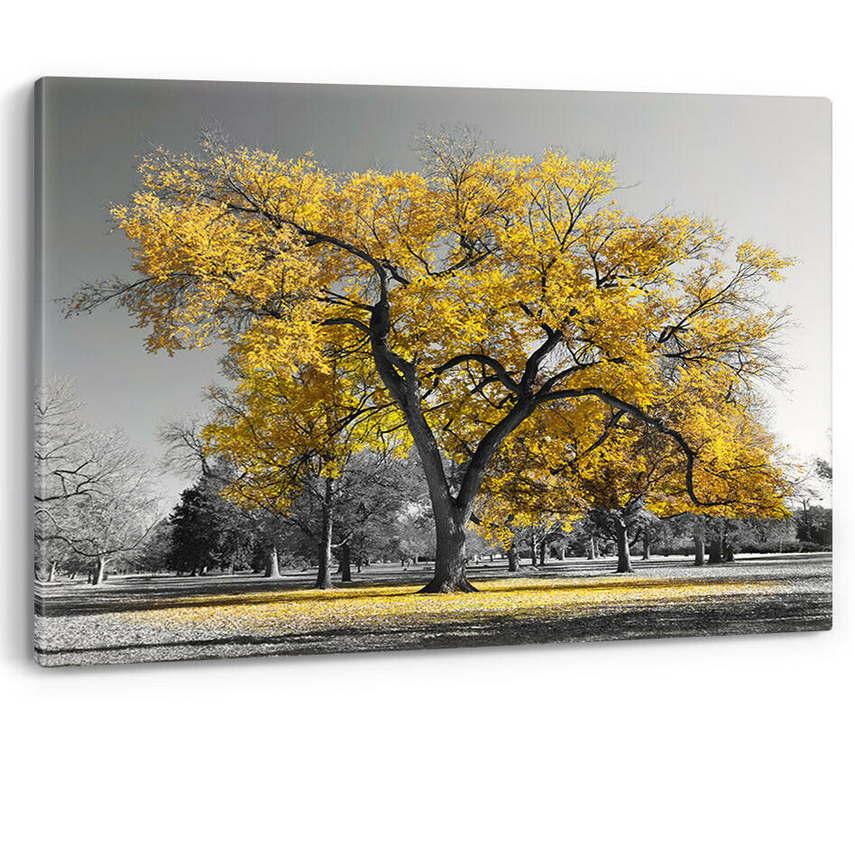 Large Tree Yellow Leaves New York Nature Canvas Wall Art Picture Print