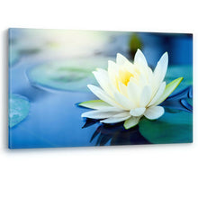 Load image into Gallery viewer, White Lotus Flower in a Pond Luxury Large Canvas Wall Art Picture Print
