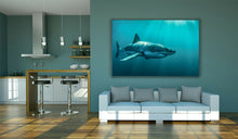 Load image into Gallery viewer, Great White Shark Underwater Framed Canvas Wall Art Picture Print
