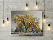 Load image into Gallery viewer, Large Tree Yellow Leaves New York Nature Canvas Wall Art Picture Print
