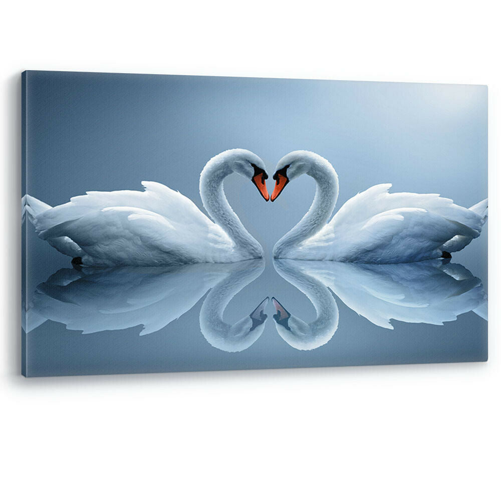 Swans in Love Heart Shaped Large Canvas Wall Art Picture Print