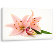 Load image into Gallery viewer, Pink Lillies Flowers Large Canvas Wall Art Picture Print Bathroom Bedroom
