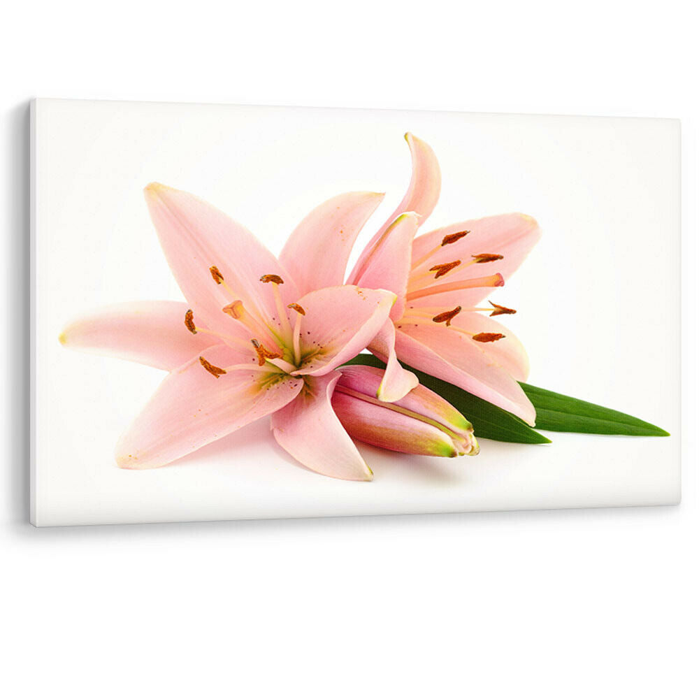 Pink Lillies Flowers Large Canvas Wall Art Picture Print Bathroom Bedroom