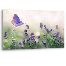 Load image into Gallery viewer, Purple Blossom Lavender Butterfly Nature Large Canvas Wall Art Picture Print
