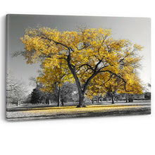 Load image into Gallery viewer, Large Tree Yellow Leaves New York Nature Canvas Wall Art Picture Print
