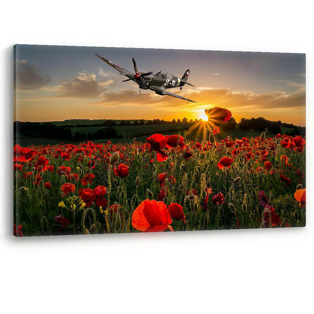 Poppy Field Spitfire Poppies Remembrance Sunday Canvas Wall Art Picture Print