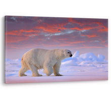 Load image into Gallery viewer, Polar Bear on Arctic Ice Svalbard Framed Canvas Wall Art Picture Print
