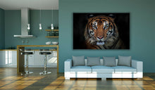 Load image into Gallery viewer, Sumatran Tiger Staring Portrait Sumatra Large Canvas Wall Art Picture Print
