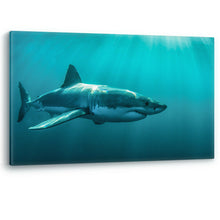 Load image into Gallery viewer, Great White Shark Underwater Framed Canvas Wall Art Picture Print
