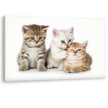 Load image into Gallery viewer, Three Kittens Cats Cute Kiss Cuddle Luxury Framed Canvas Wall Art Picture Print
