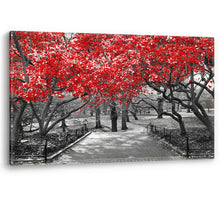 Load image into Gallery viewer, Red Trees in Central Park New York Large Luxury Canvas Wall Art Picture Print
