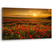 Load image into Gallery viewer, Red Poppy Field at Sunset Flowers Large Canvas Wall Art Picture Print Poppies
