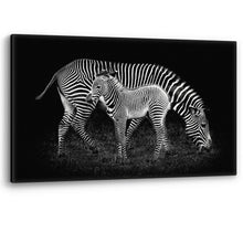 Load image into Gallery viewer, Zebra Mother and Baby Foal Africa Large Canvas Wall Art Picture Print
