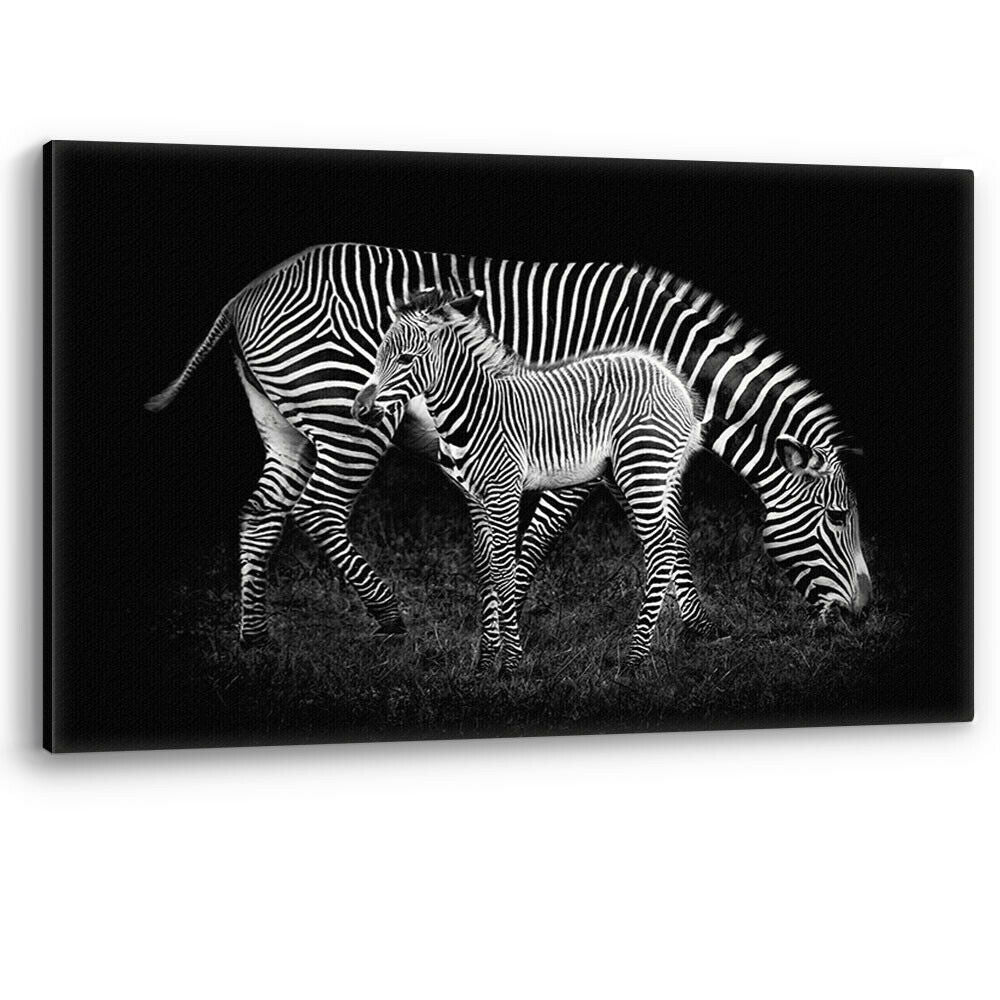 Zebra Mother and Baby Foal Africa Large Canvas Wall Art Picture Print