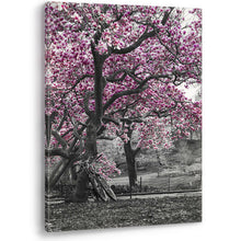 Load image into Gallery viewer, Black and White Wall Art Purple Pink Blossom Trees Bicycles Canvas Picture Print
