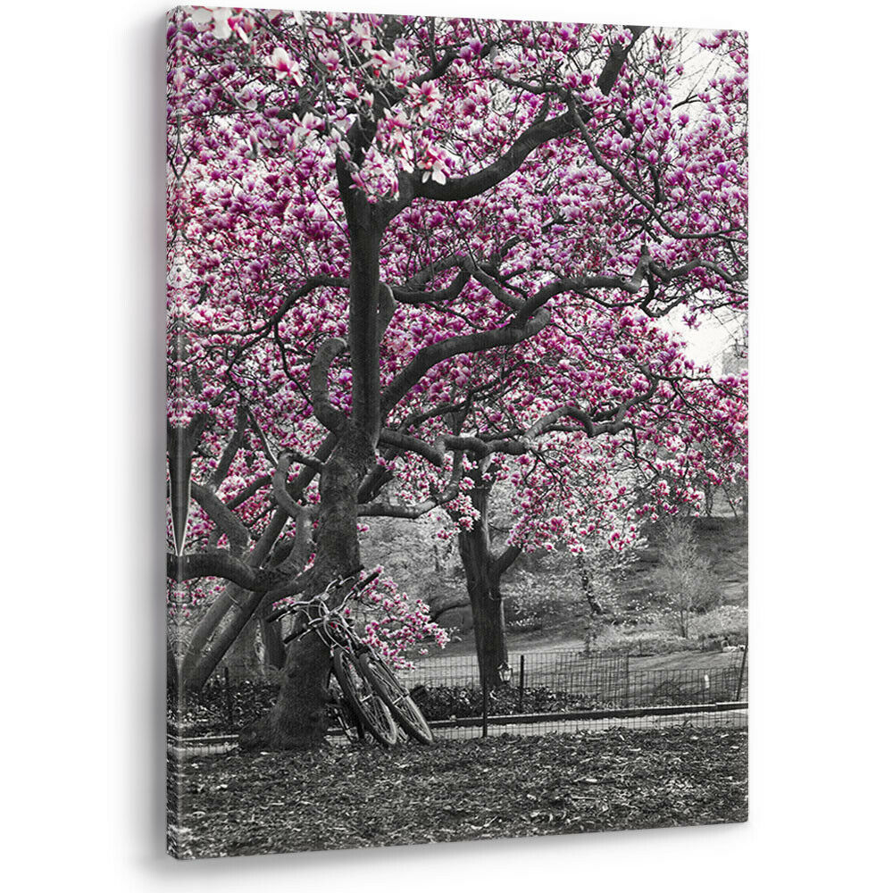 Black and White Wall Art Purple Pink Blossom Trees Bicycles Canvas Picture Print