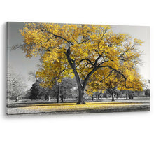 Load image into Gallery viewer, Large Tree Yellow Leaves New York Nature Canvas Wall Art Picture Print
