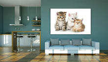 Load image into Gallery viewer, Three Kittens Cats Cute Kiss Cuddle Luxury Framed Canvas Wall Art Picture Print
